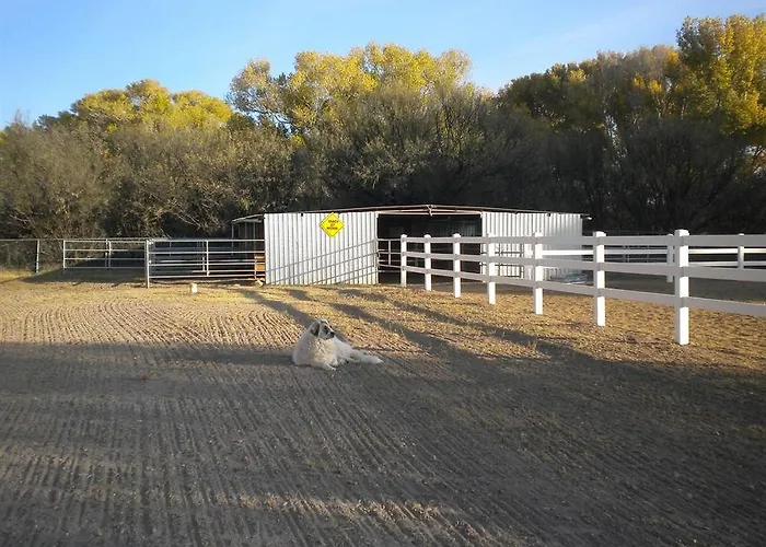 Lazy Dog Ranch Hotel 3*