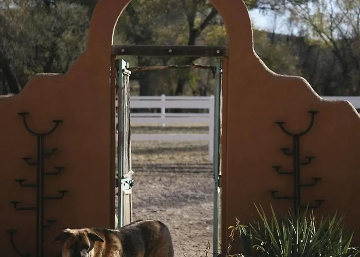 Hotel Lazy Dog Ranch 3*